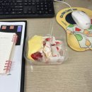 이제 개강말고 개 강함.