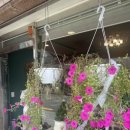 서초대로33길 4 이미지