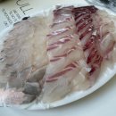 거제횟집 이미지