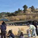 산업로2(서) | 구례 지리산치즈랜드 수선화 만개 개화 현황