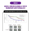 장마철 '세균성질병' 급증합니다~사전 방제 작업이 매우 중요합니다 이미지