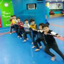 한국체대 호림태권도장 이미지