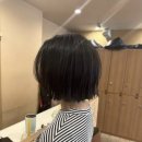 더퍼스트헤어미아