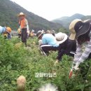 화암면사무소 이미지