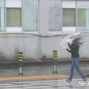 태풍 - 동구 효신로 16 | 태풍