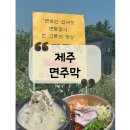[제주 맛집] 에코랜드 근처 가족여행 아침식사 가능한 조천 맛집 &#34;면주막&#34; 후기