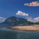 (주)오렌지여행 이미지