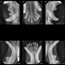 서울앤탑 동물병원 이미지