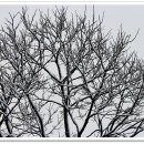 시골풍경 이미지