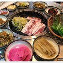 우루래 Daum카페
