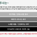 비디엠