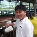 미르목장 이미지