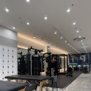 로얄바디짐 PT 백석점3호점 | 백석역헬스장 로얄바디짐 PT 백석점 3호점 미국식 운동 평가 및 PT 후기