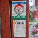 도원참치물회 | 영도 중리맛집 도원참치물회 후기