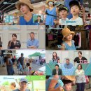 형제농장A 이미지