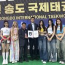 태권도 주식회사