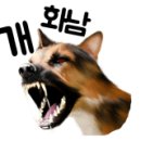 은하수 펫푸드 네이버블로그