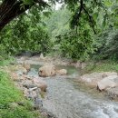 영지농장 이미지