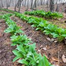 산골농장 이미지