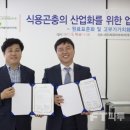 코리아농장 이미지