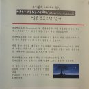 아나나사