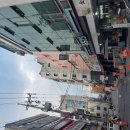 25-8/3-일 샐러드-아침밥 마곡-서울식물원/산책 서울식물원-수국꽃 서울식물원-백일홍꽃 고등어구이-점심 도현필-두리랑 이미지