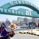 양재시장 이미지