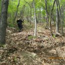 가고파노래연습장 이미지