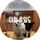 우주한의원 | 이천 휴일도 / 우주 최초 강아지찜질방 방문기 솔직후기 서울 근교 경기도 핫플 겨울 강아지 동반 가족...