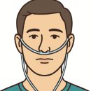 비산고가 아래 | [성인간호학] 심혈관계