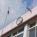 내기초 신영분교 이미지