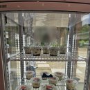 쉘스톤 | 원주여행 : &#34;스톤크릭 카페&#34; 아이랑 크루와상 내돈내산 장단점, 솔직후기