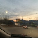 왈가왈부애견 이미지