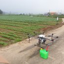 광원농장 이미지