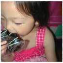 하모니빈즈 | <도넛플랜트 뉴욕시티> 초코케익셋트 &amp; 뉴욕셋트 &amp; 웰빙셋트