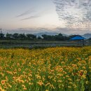 서천변 이미지