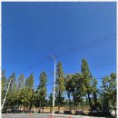 명소공인중개사사무소 이미지