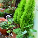 매직스튜디오 이미지