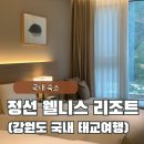 강원도 국내 태교여행 호캉스 정선 웰니스 리조트 후기
