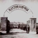 박정희로-8 이미지
