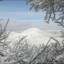 제138회 정기산행 – 오대산 국립공원(계방산 눈꽃산행) (2015.1.10) 이미지