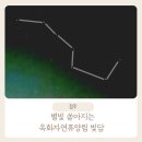 빛담 | 별빛 쏟아지는 옥화자연휴양림 빛담 다자녀 가정 이용 후기, 숲속 놀이터