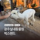 광주근교실내동물원, 주말에 아이랑 갈만한 곳을 찾는다면 패밀리랜드 벅스랜드 다녀온 솔직후기