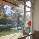 홍산우체국 1층 | 가벼운 산책, 전주 효자동 단풍나무길(전북지방우정청~도교육청)&amp;소금빵맛집 &#39;주과자&#39;까지