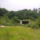 오산 행정사 합동사무소 이미지