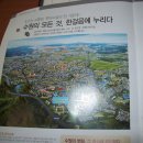 수원아너스빌위즈 Daum카페