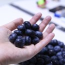 판이농장 이미지