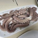 진우수산 이미지