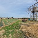 당진시 송악읍 복운리 2-10 이미지