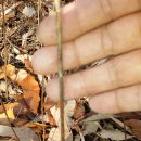 오늘달려 이미지